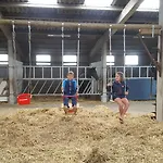 Het Zwaluwnest