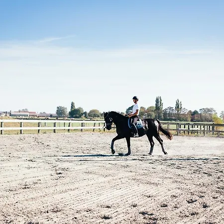 Het Zwaluwnest * Middelkerke