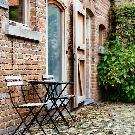 Dom wakacyjny Het Zwaluwnest