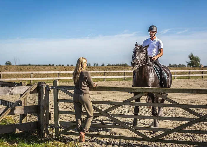 Het Zwaluwnest Holiday home *