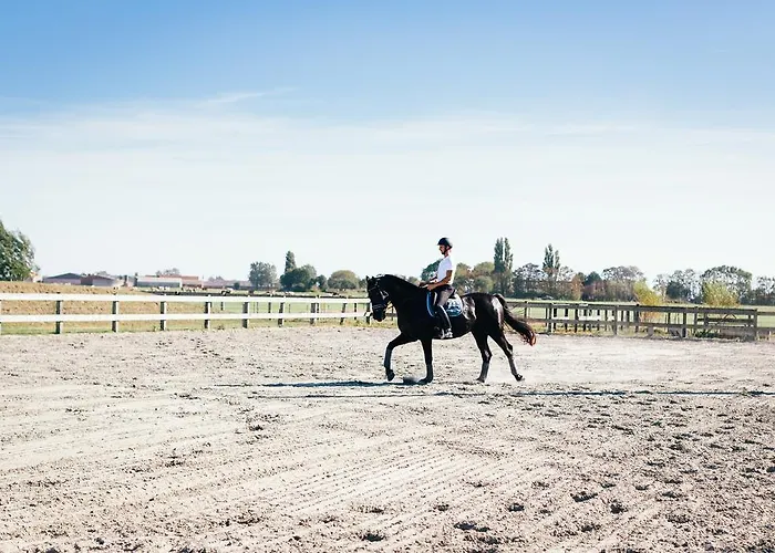 Het Zwaluwnest * Middelkerke